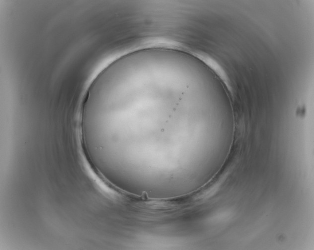 X0000091571391200709051029