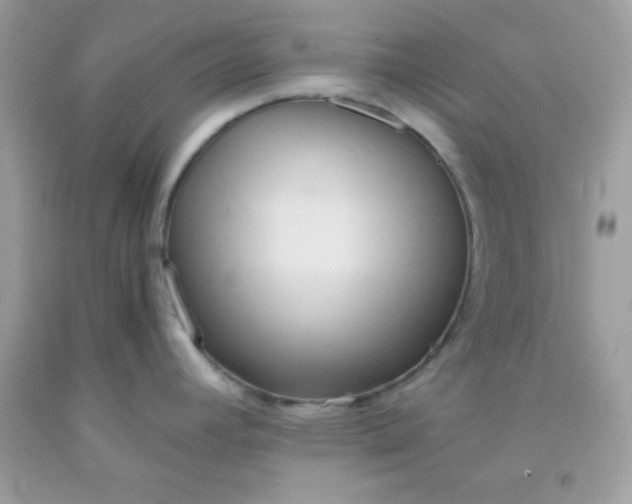 X0000091571392200709051029