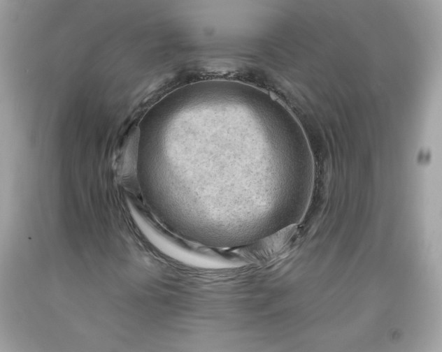 X0000091571394200709051028