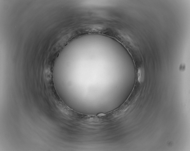 X0000091571395200709051028