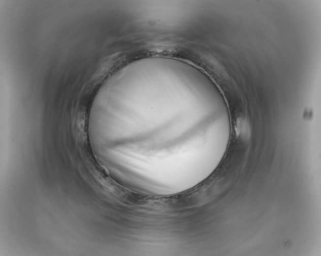 X0000091571396200709051028