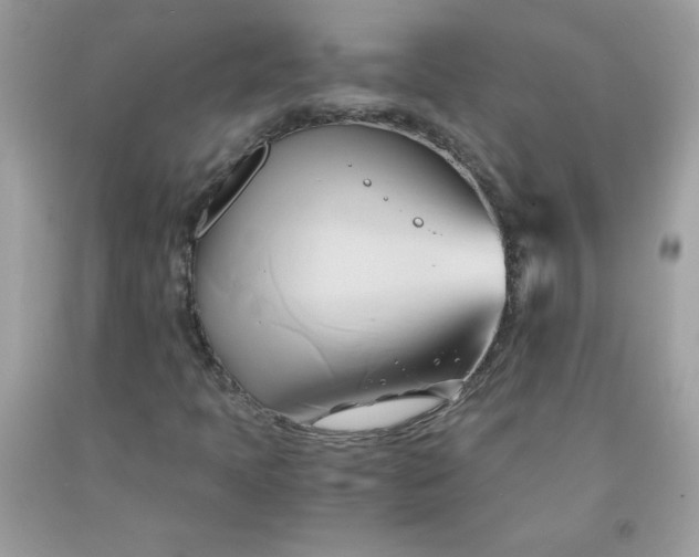X0000091571397200709051029