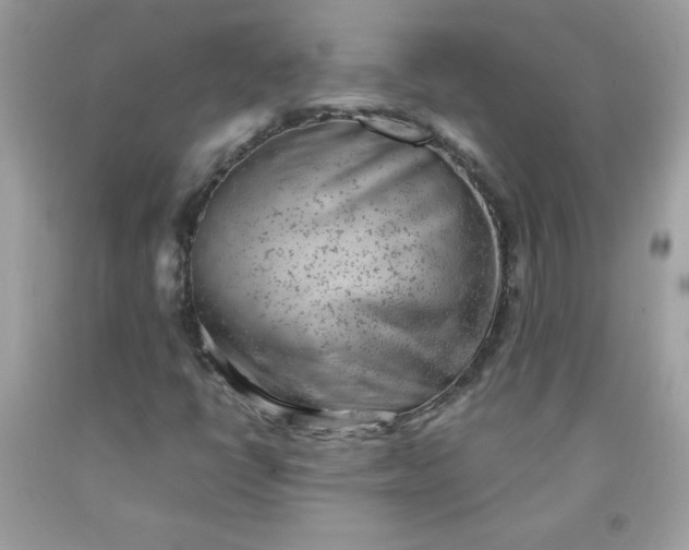 X0000091571398200709051029