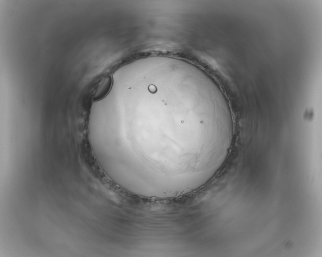 X0000091571399200709051029