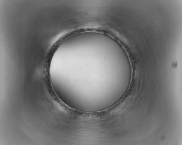 X0000091571400200709051029