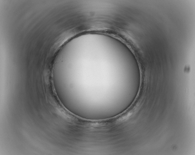 X0000091571401200709051029
