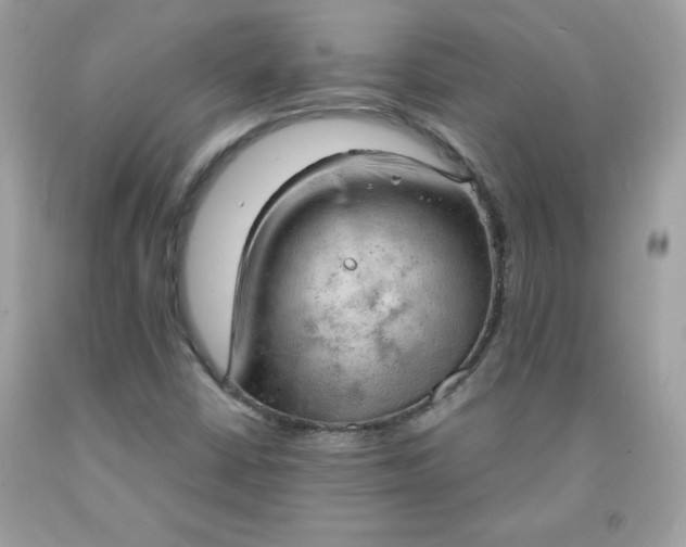 X0000091571402200709051029