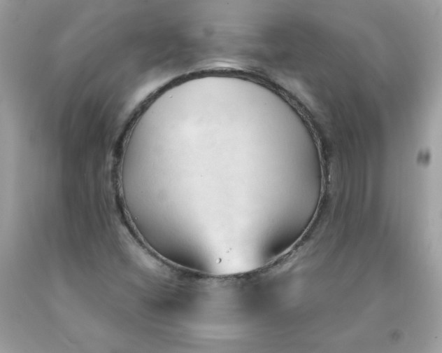 X0000091571404200709051029