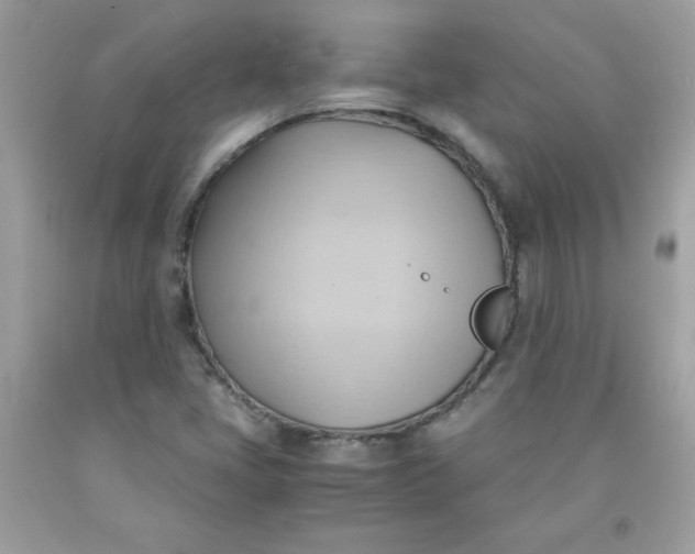 X0000091571405200709051029