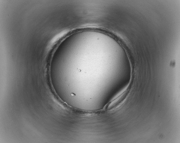 X0000091571406200709051029