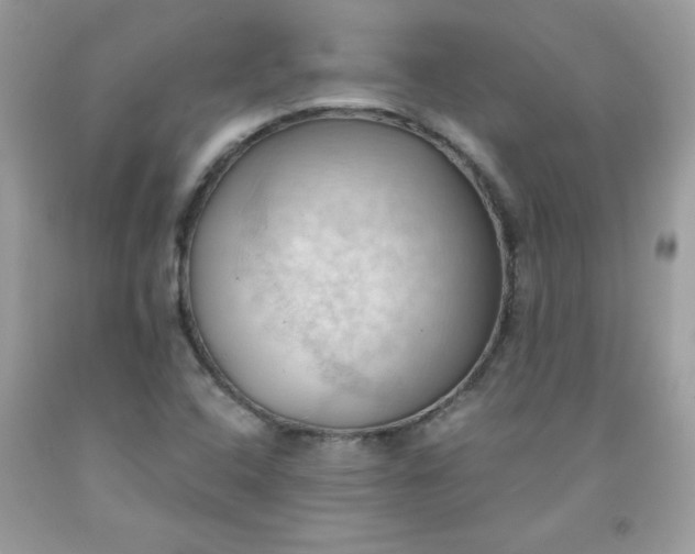 X0000091571408200709051029