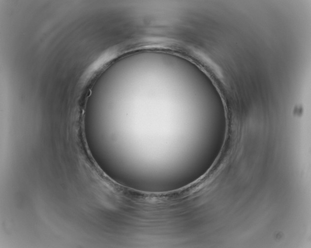 X0000091571411200709051029