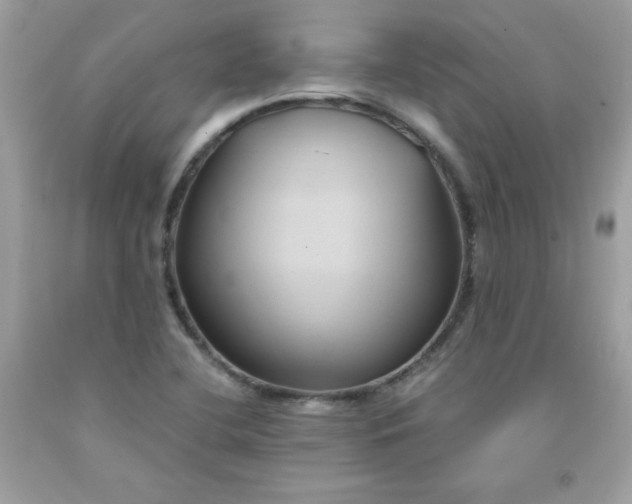 X0000091571412200709051029