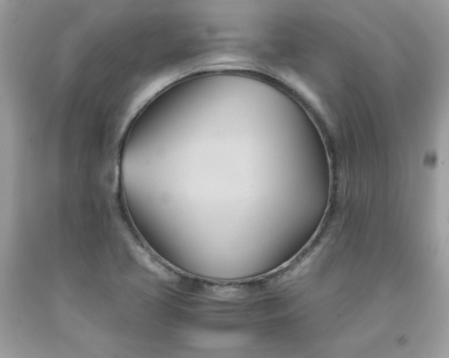 X0000091571413200709051029