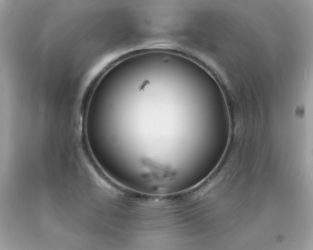 X0000091571414200709051029
