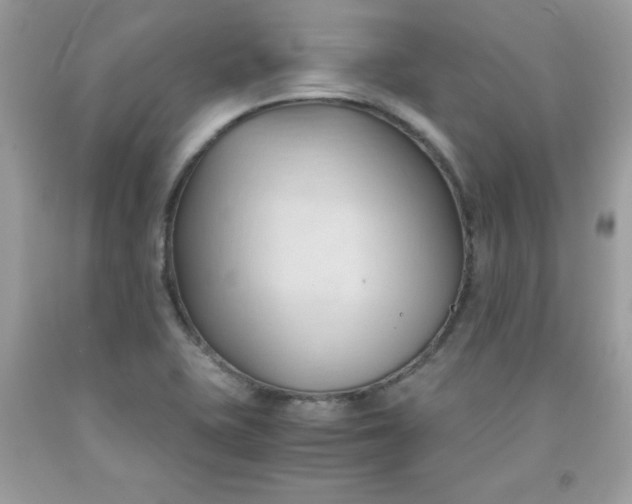 X0000091571415200709051029