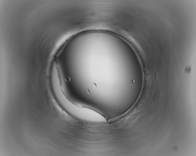 X0000091571416200709051029