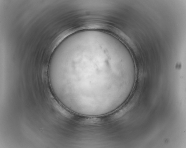 X0000091571417200709051029