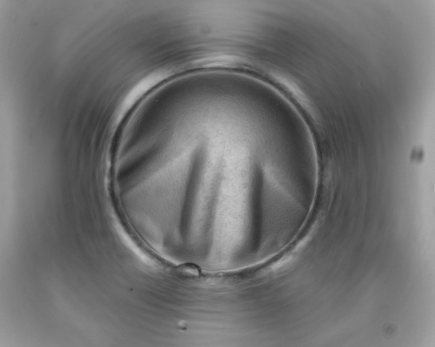 X0000091571418200709051029