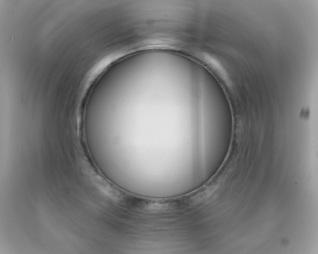 X0000091571419200709051029