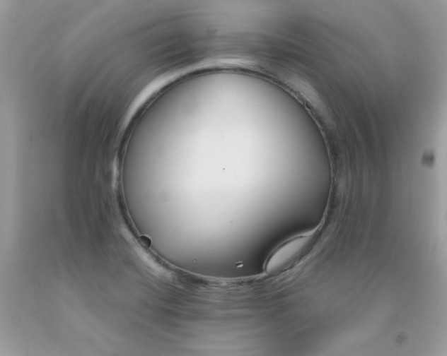 X0000091571420200709051029