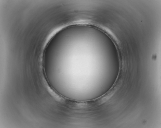 X0000091571421200709051029