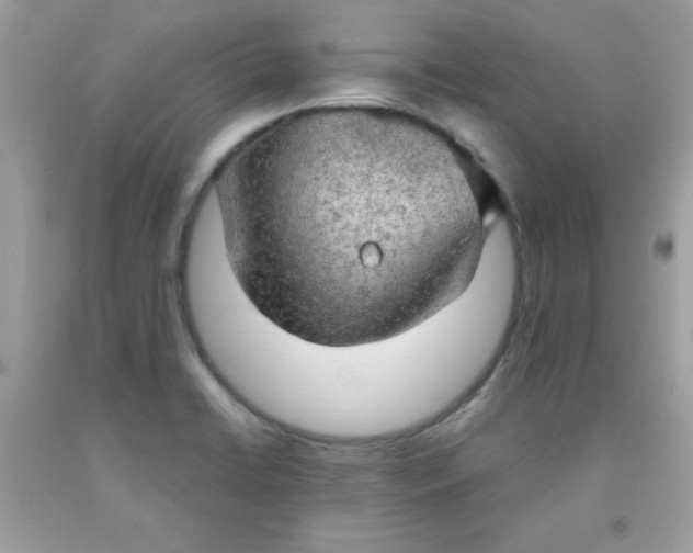 X0000091571422200709051029
