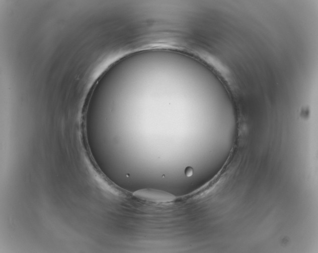 X0000091571423200709051029