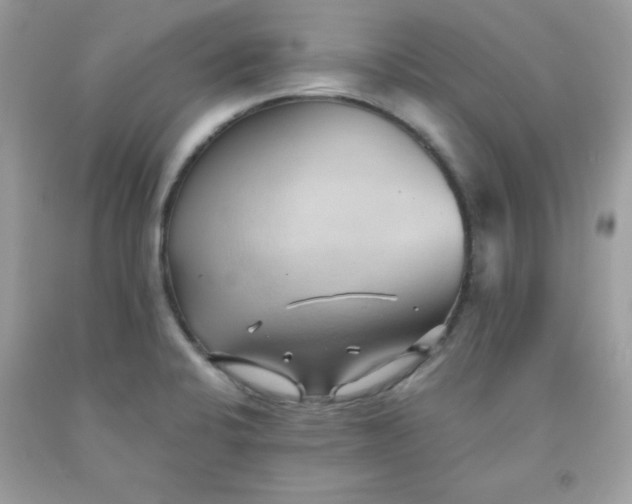 X0000091571424200709051029