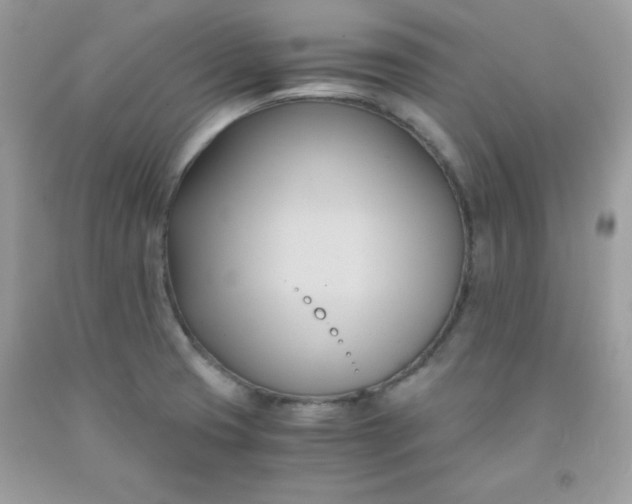 X0000091571425200709051029