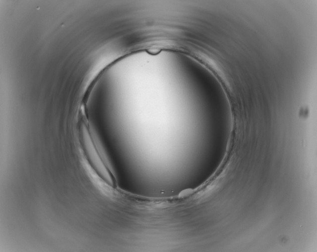 X0000091571426200709051029