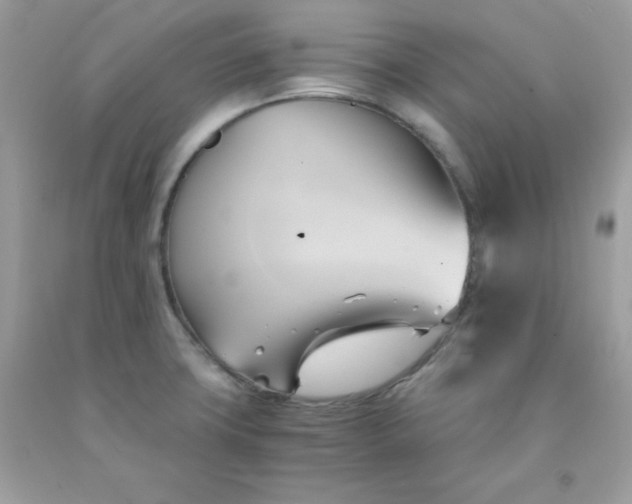 X0000091571427200709051029