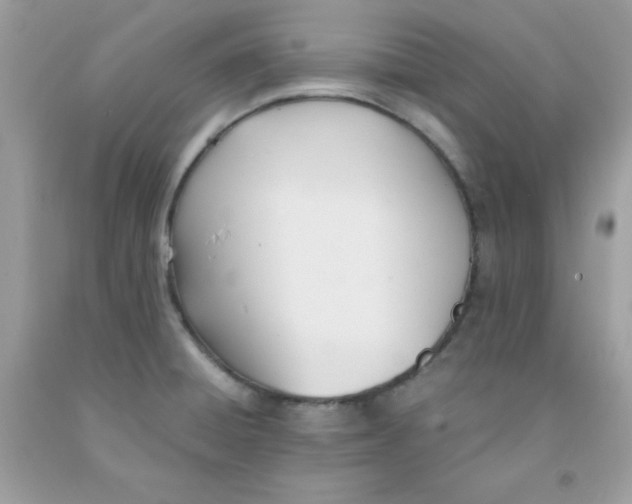 X0000091571428200709051029