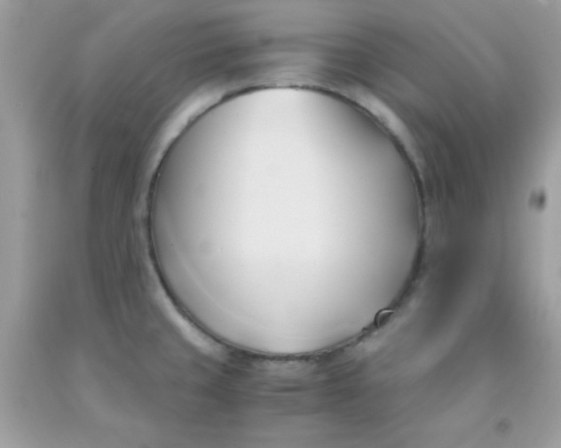 X0000091571429200709051029