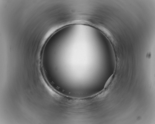 X0000091571430200709051029