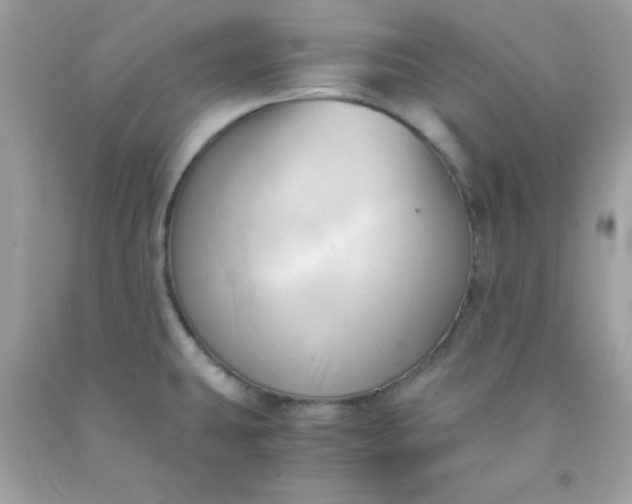 X0000091571431200709051029
