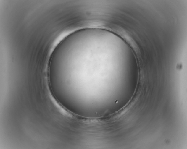 X0000091571432200709051029