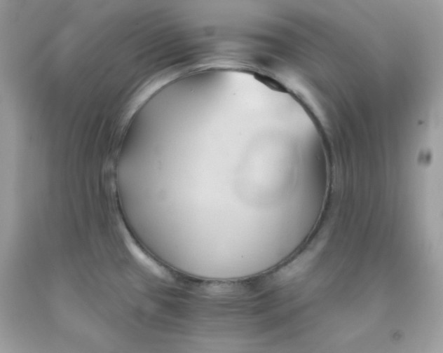 X0000091571433200709051029