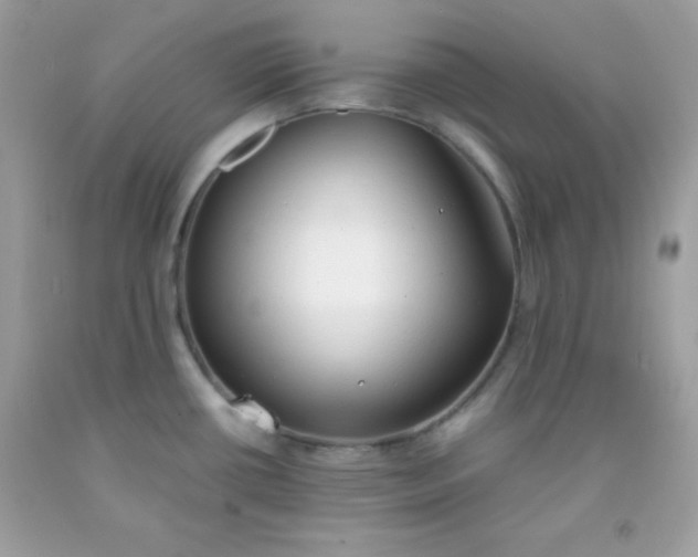 X0000091571434200709051029