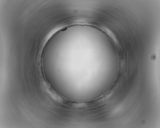X0000091571435200709051029