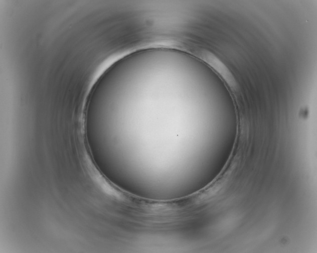 X0000091571436200709051029