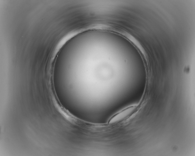 X0000091571437200709051029