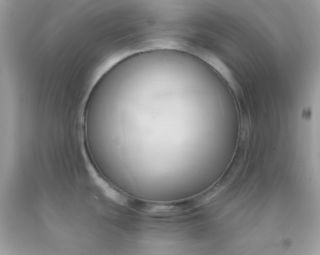 X0000091571439200709051029