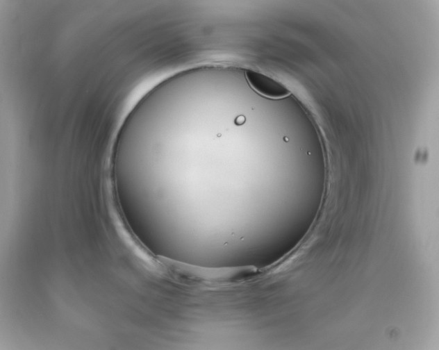 X0000091571440200709051029