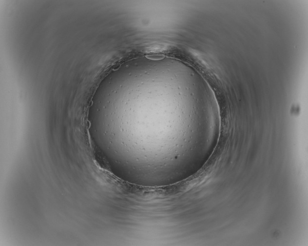 X0000091571441200709051028