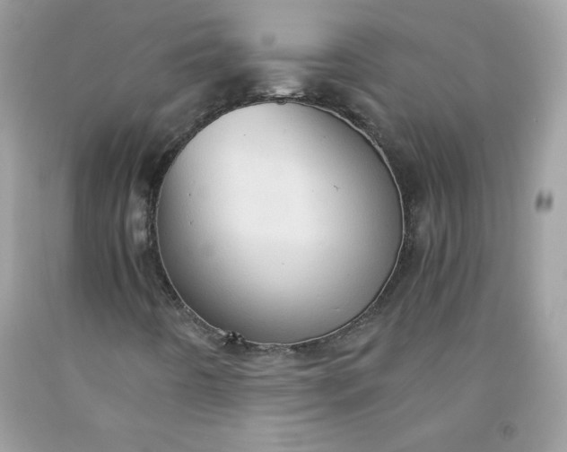 X0000091571442200709051028