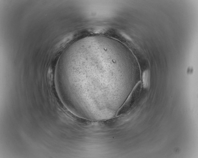 X0000091571443200709051028