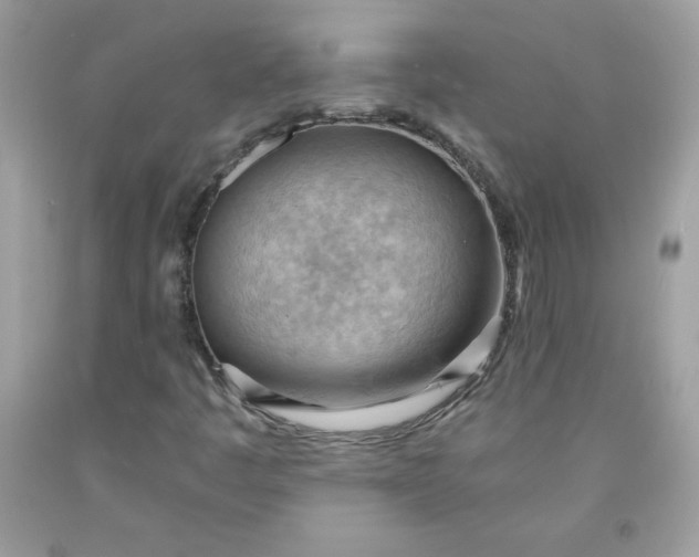 X0000091571445200709051028