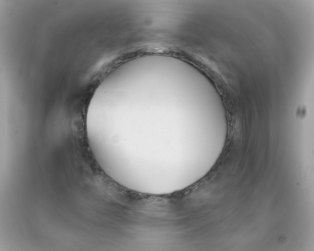 X0000091571446200709051028