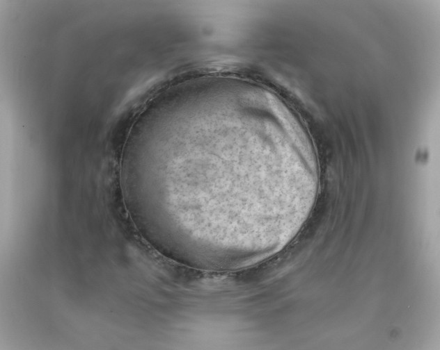 X0000091571447200709051028